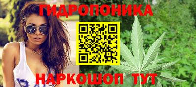 мяу мяу мука Гусев