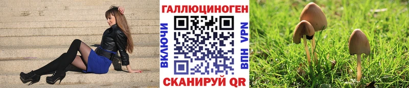 это Telegram  Дальнереченск  Псилоцибиновые грибы мухоморы  купить закладку 