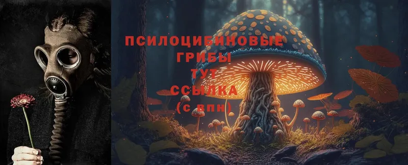 Псилоцибиновые грибы MAGIC MUSHROOMS  Дальнереченск 